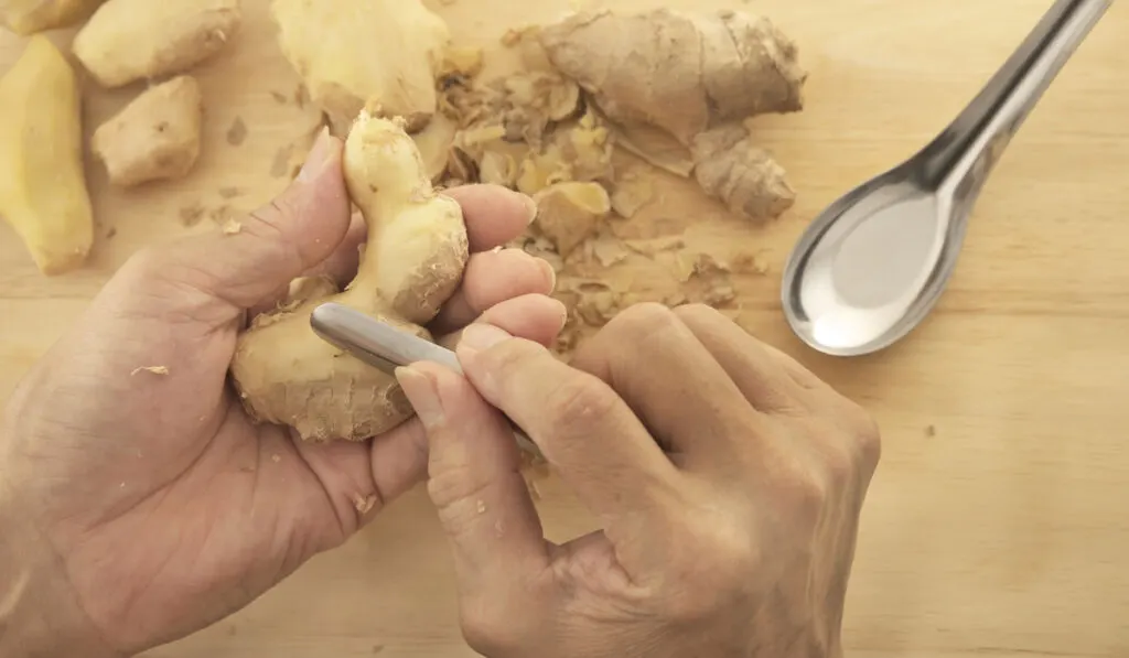 Hand peeling ginger root using spoon 