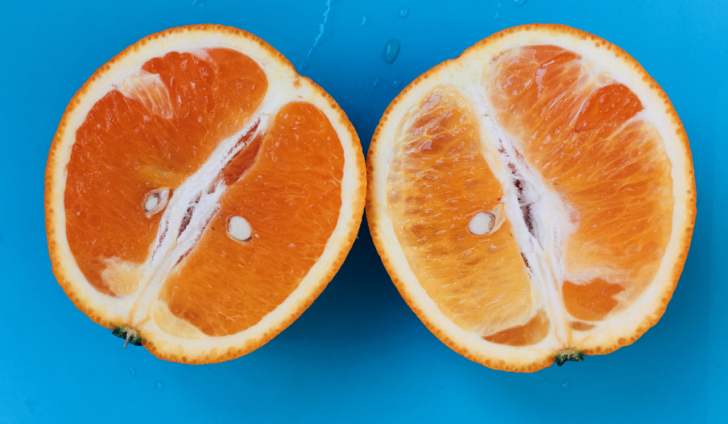 Orange fruit on a blue background
