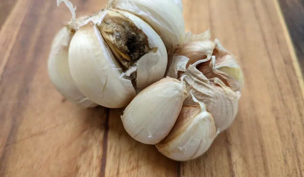 Partially rotted garlic clove on wooden cutting board 