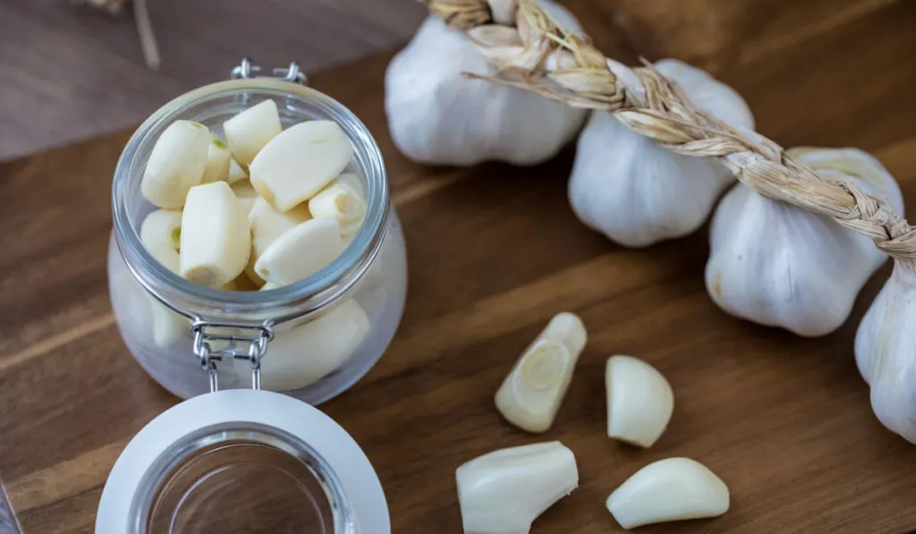 Peeled garlic in a glass container with garlic clove and bulb on the table