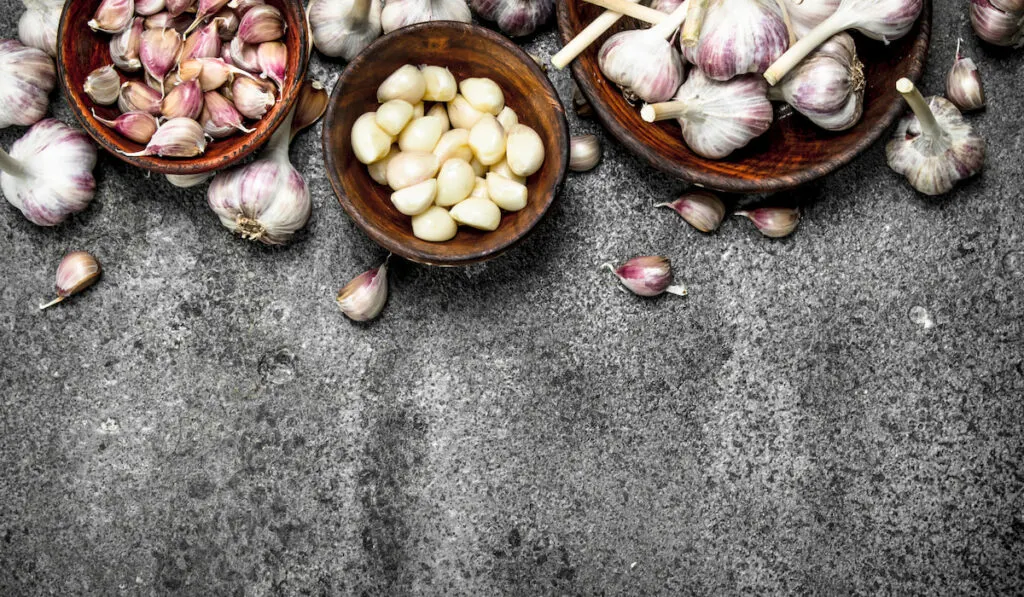 Peeled slices of fresh garlic in bows on rustic background  