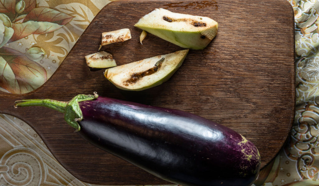 Rotten eggplant with a worm on a wooden board