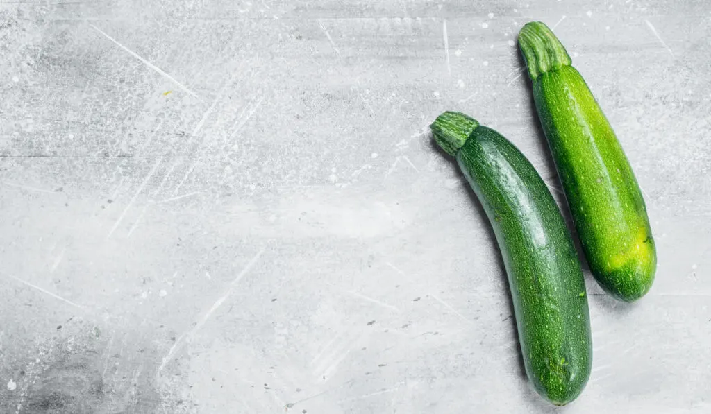 Two whole ripe zucchinis on white rustic background