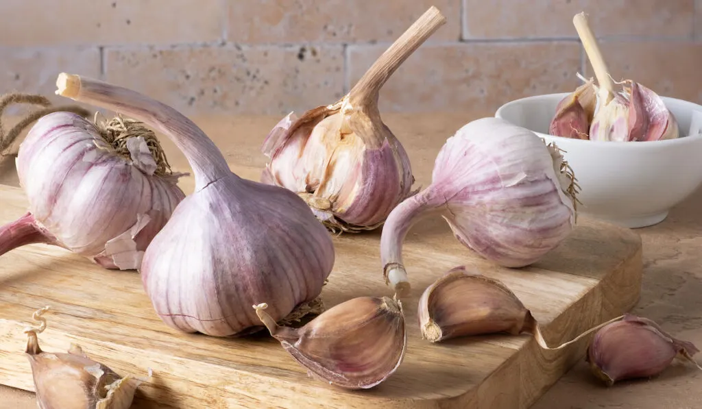 close-up of the head and cloves of garlic on cutting board