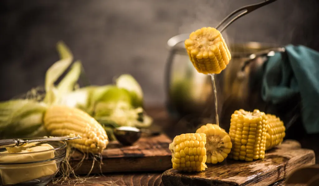 steaming hot cooked corn on wooden rustic board