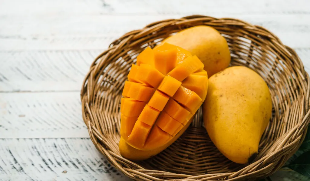 whole-and-sliced-fresh-yellow-mango-on-wooden-plate-on-white-wooden-table