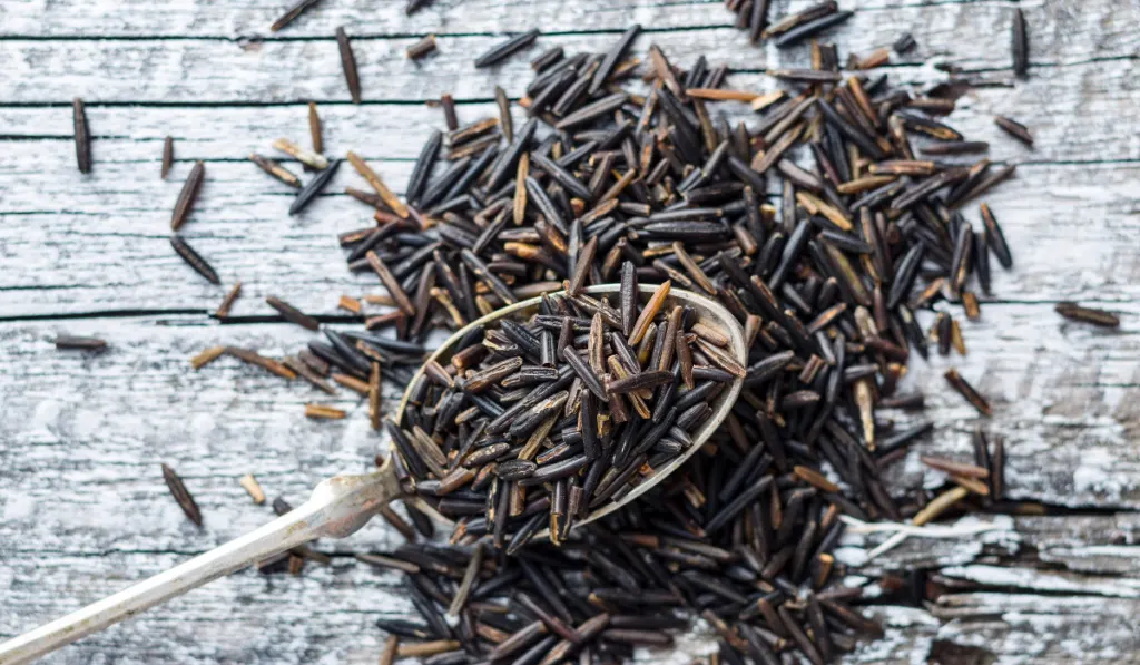 wild rice in spoon on old wooden table