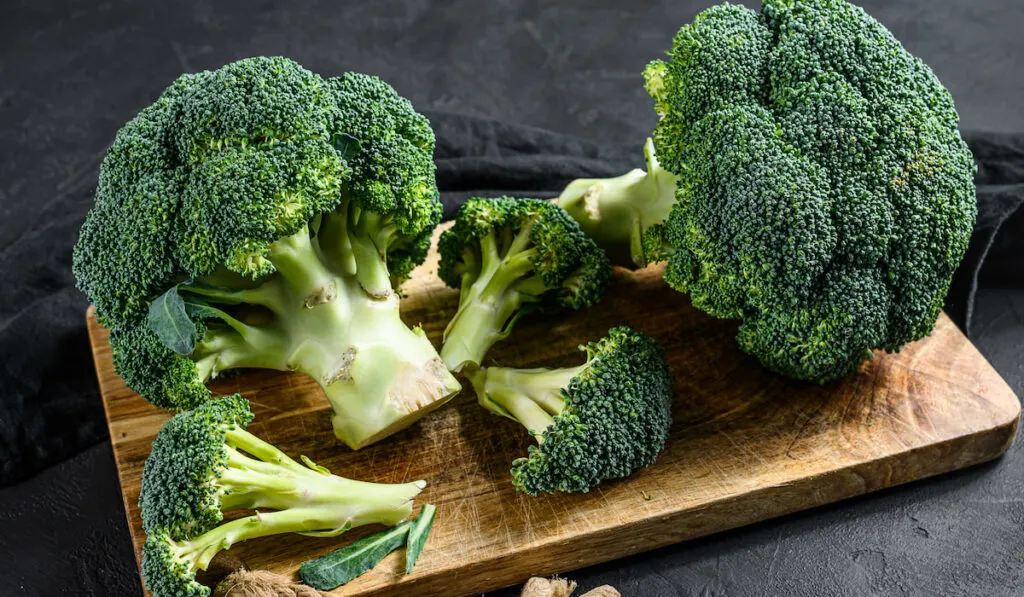 Fresh broccoli in a wooden board on black background