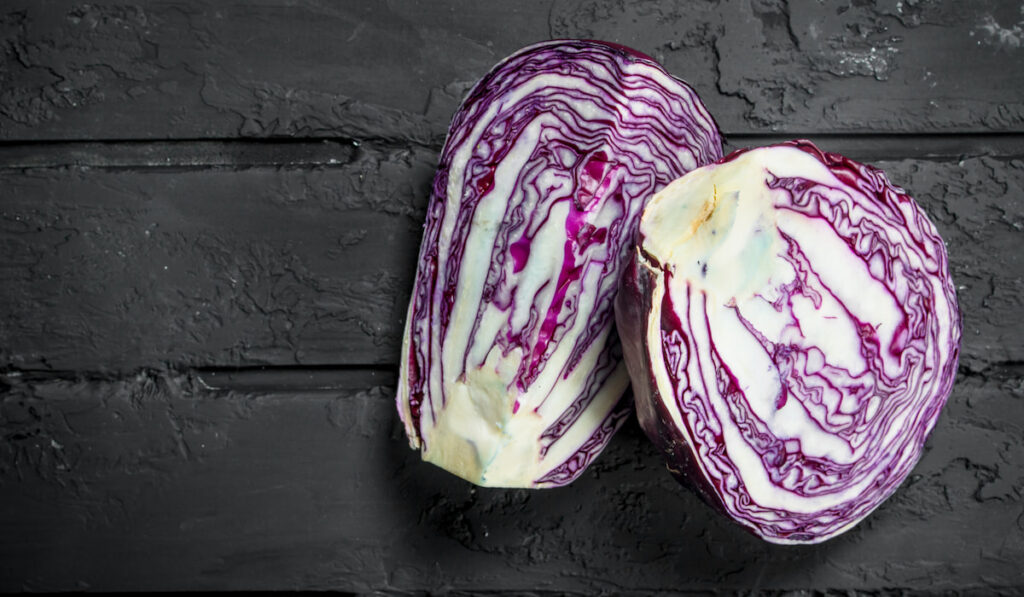 Fresh cut red cabbage on black rustic background