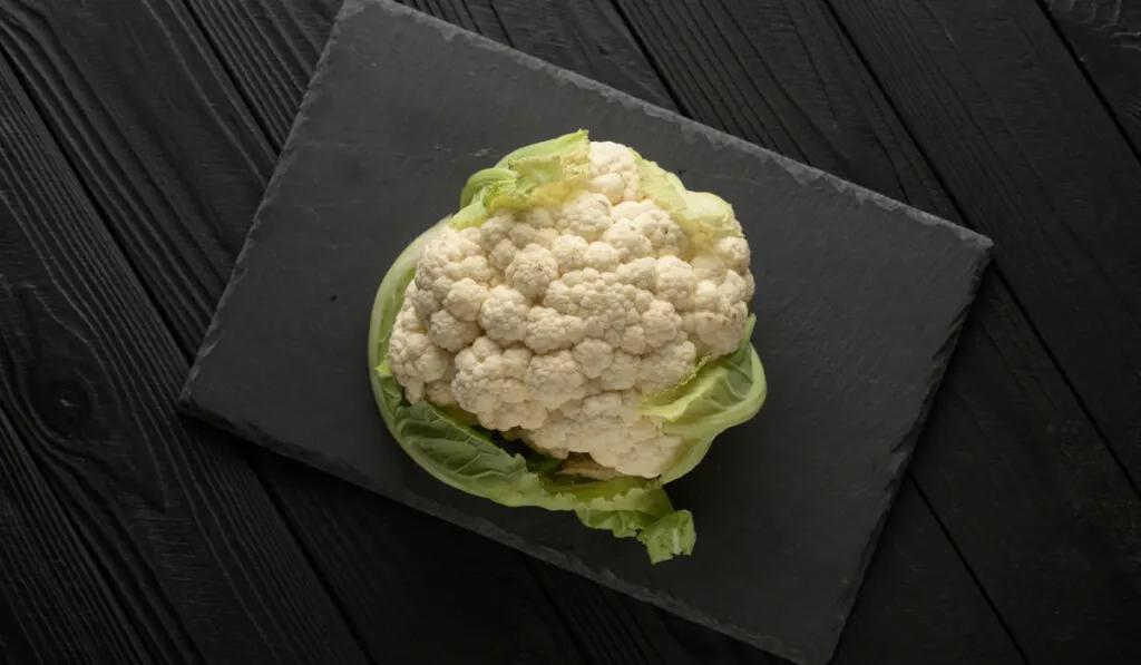 Fresh whole cauliflower on black cutting board on black wooden background