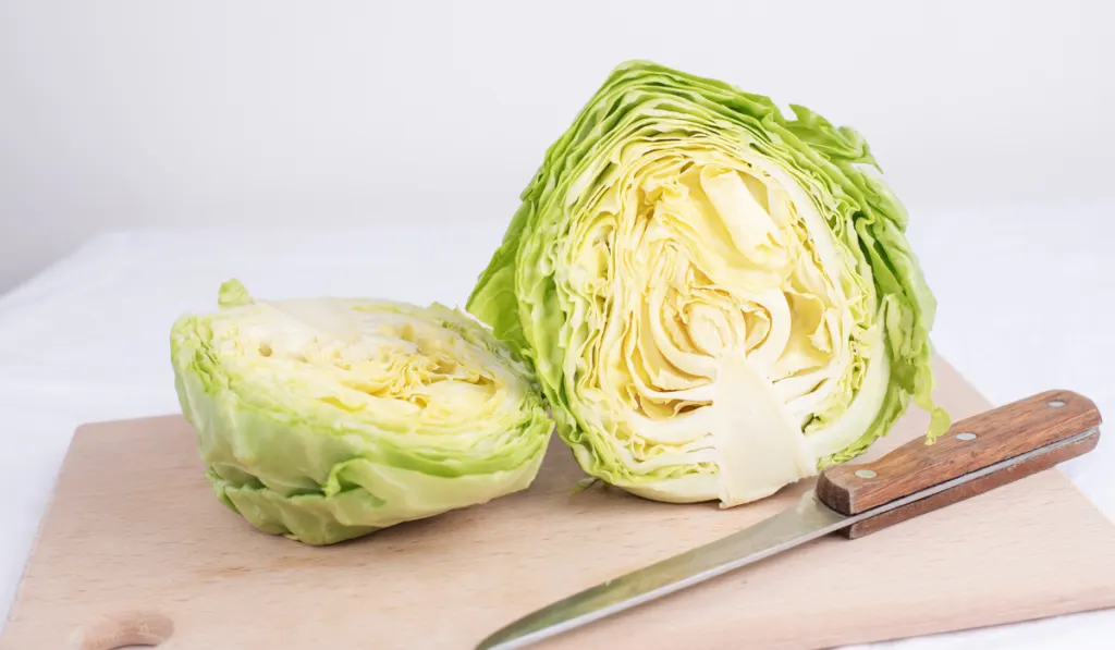 Halves of fresh early cabbage