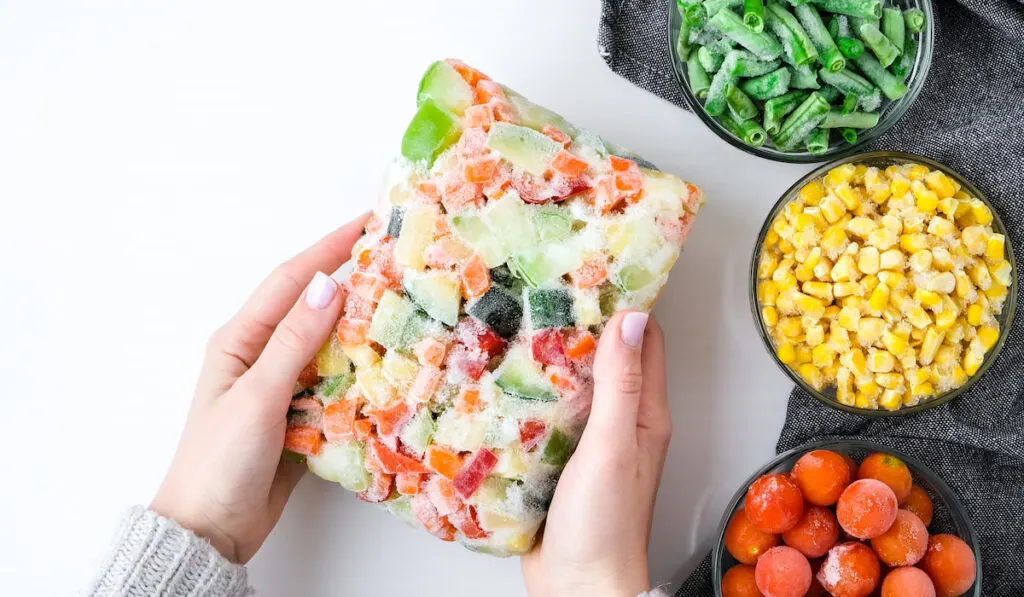 Mixed vegetable frozen food briquette in female hands