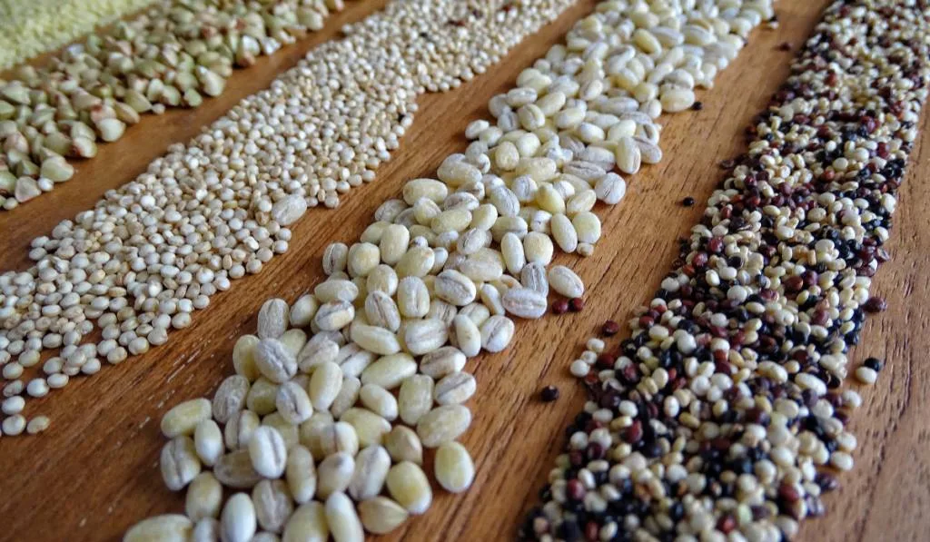 types of grains and seeds on the table