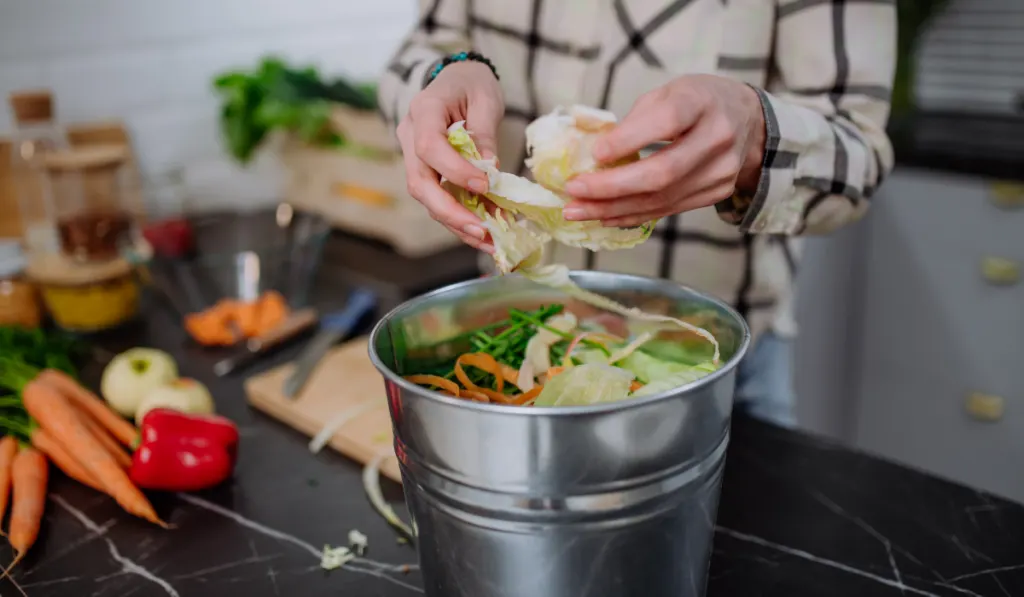  vegetable cuttings in a compost bucket