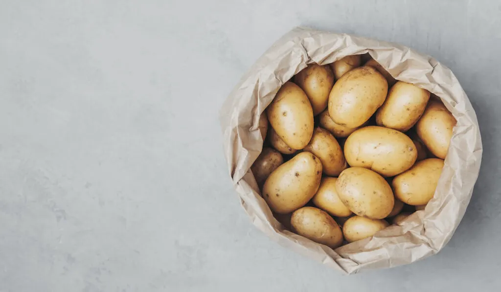 Bunch of raw potatoes in a paper bag on grey stone background