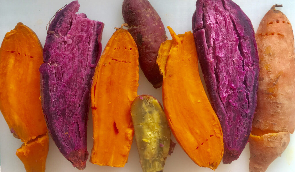 Colorful boiled sweet potatoes on white background