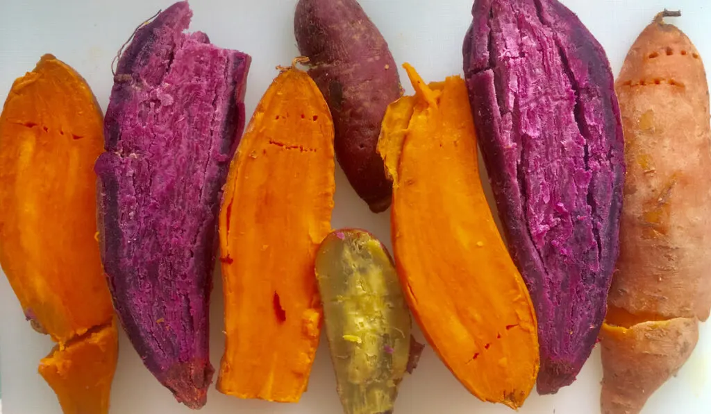 Colorful boiled sweet potatoes on white background