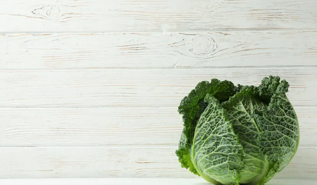 Fresh cabbage on wooden background