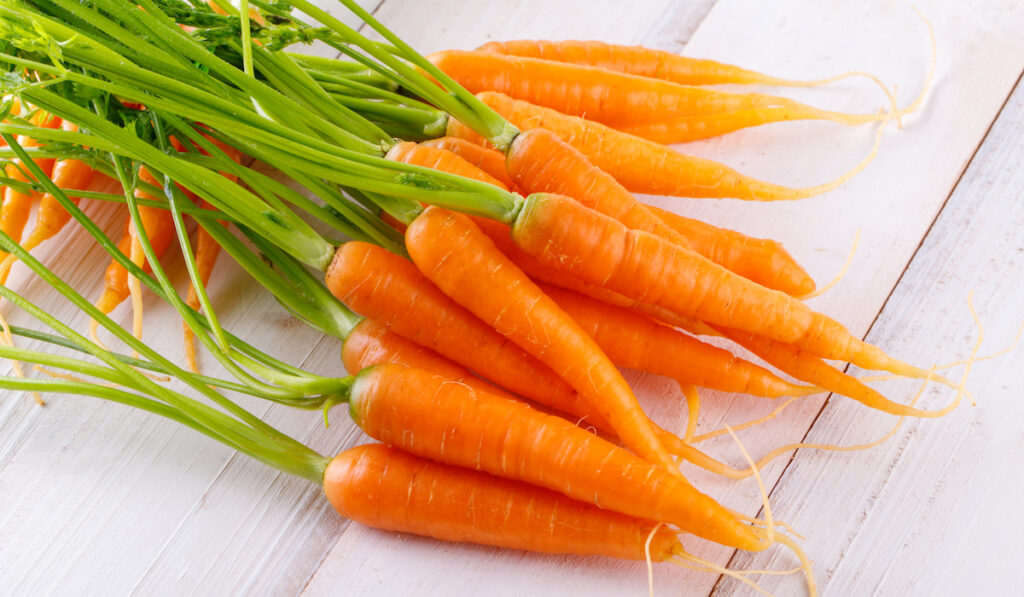 Fresh carrots on white wooden table