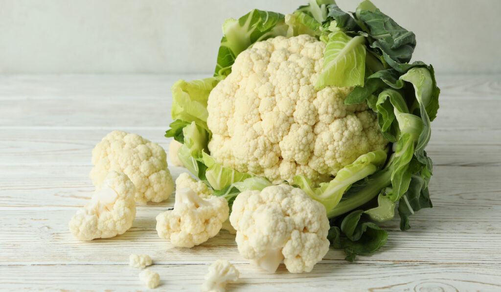 Fresh whole and little pieces of cauliflower on the table