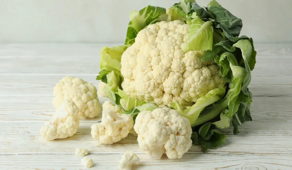 Fresh whole and little pieces of cauliflower on the table