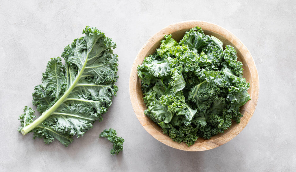 Fresh kale in a wooden bowl and kale leave on white background