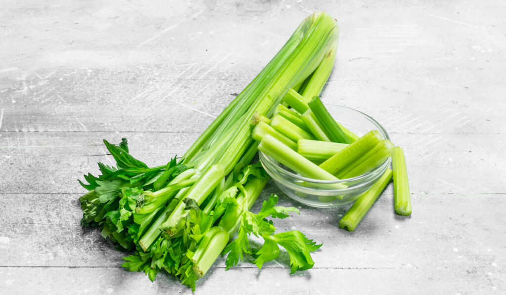 Fresh pieces of celery in a glass bowl and on gray wooden background