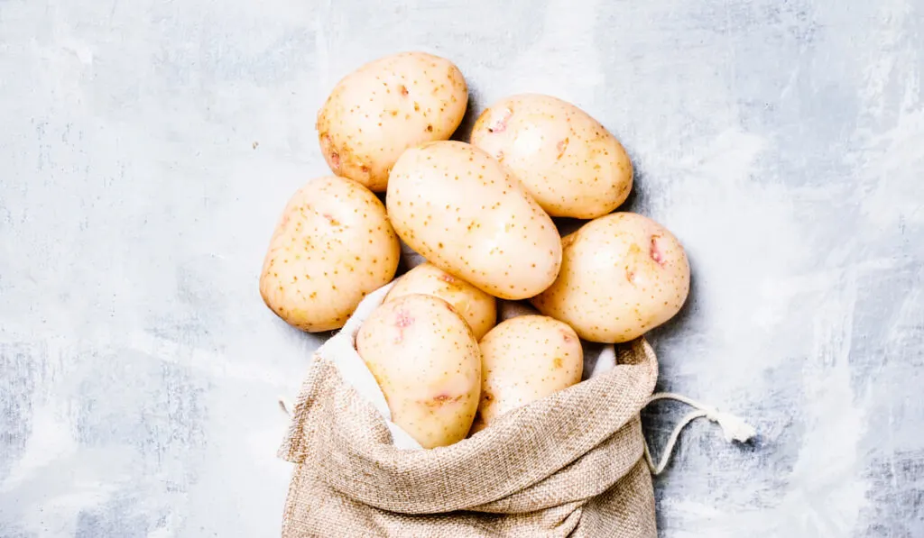 Fresh potatoes in a canvas bag on light background