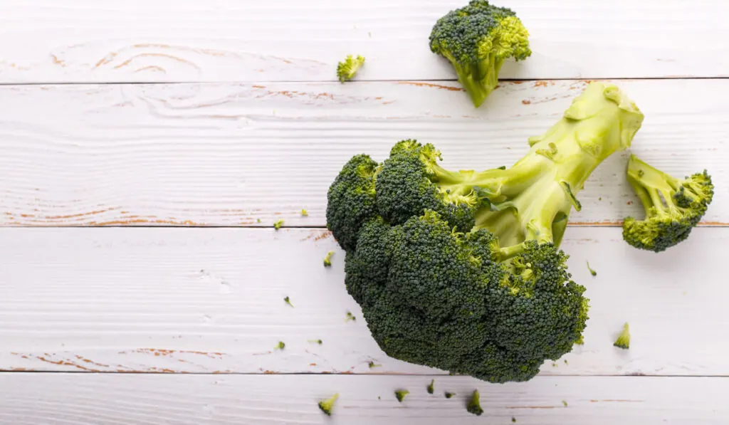 Fresh raw broccoli on white wooden background