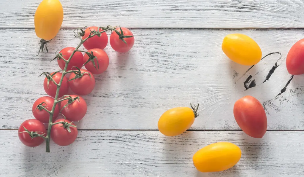 Fresh cherry tomatoes on the table