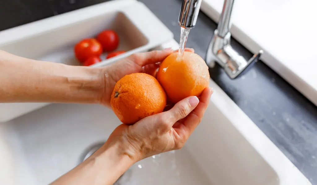 Hands of woman washing ripe orange under faucet in kitchen sink