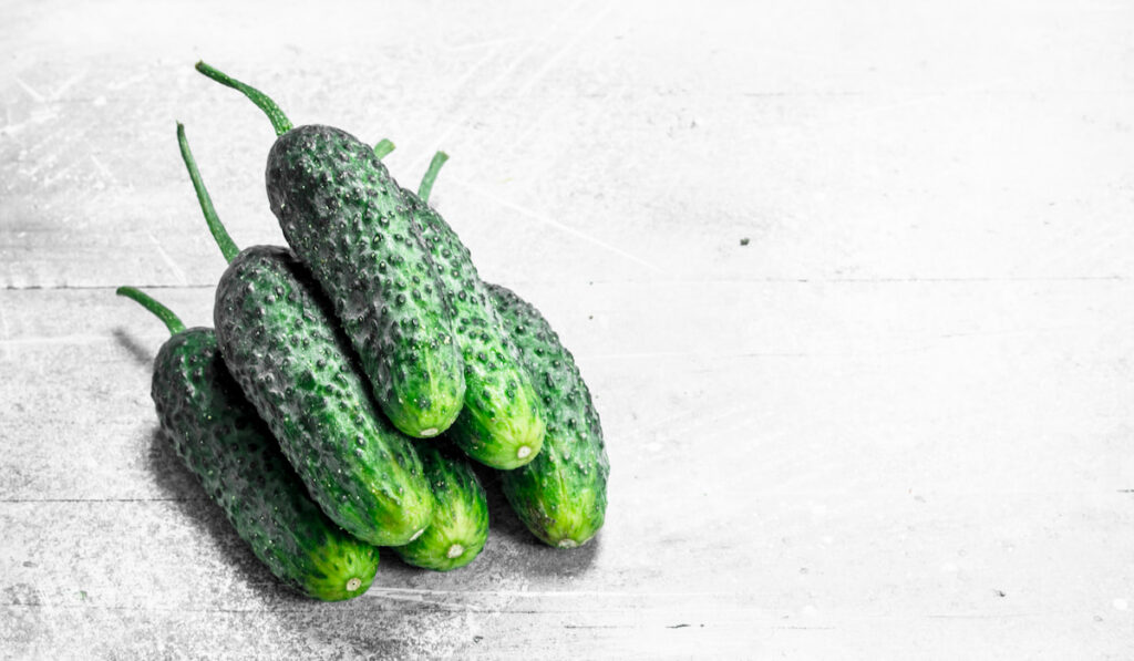 Ripe fresh cucumbers on the table