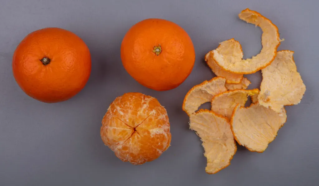 Top view of peeled and whole oranges on gray background