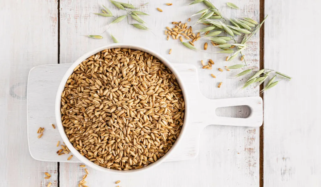 Whole grain oats with ears on white wooden table