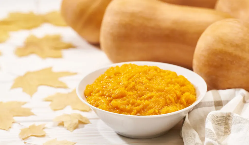 bowl of homemade butternut squash puree and whole butternut squash on the table