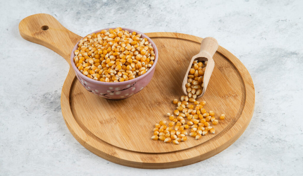 bowl of uncooked corn grains with wooden spoon and wooden board