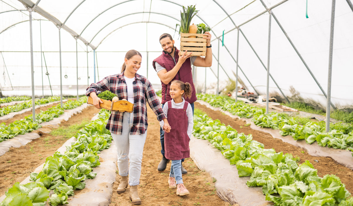 83 Name Ideas for an Organic Farm Farmhouse Guide