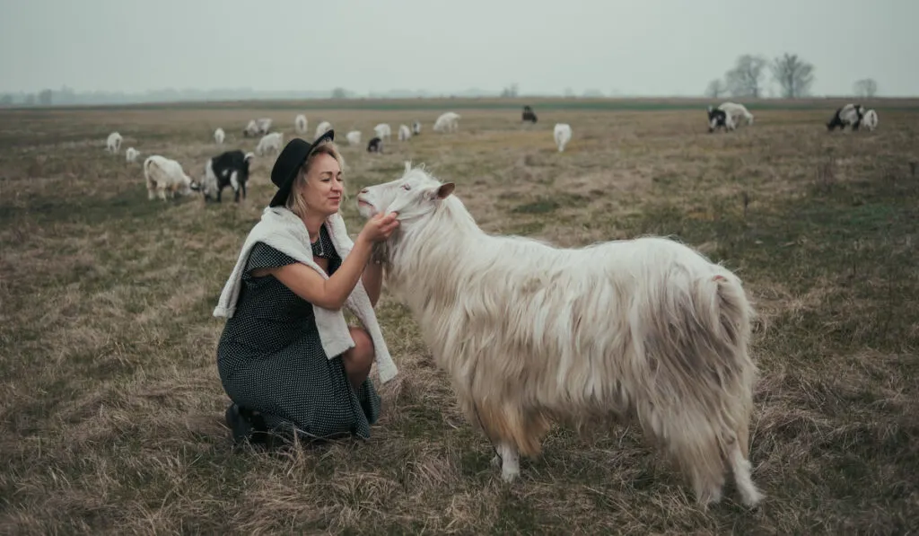 Girl and a goat on the farm