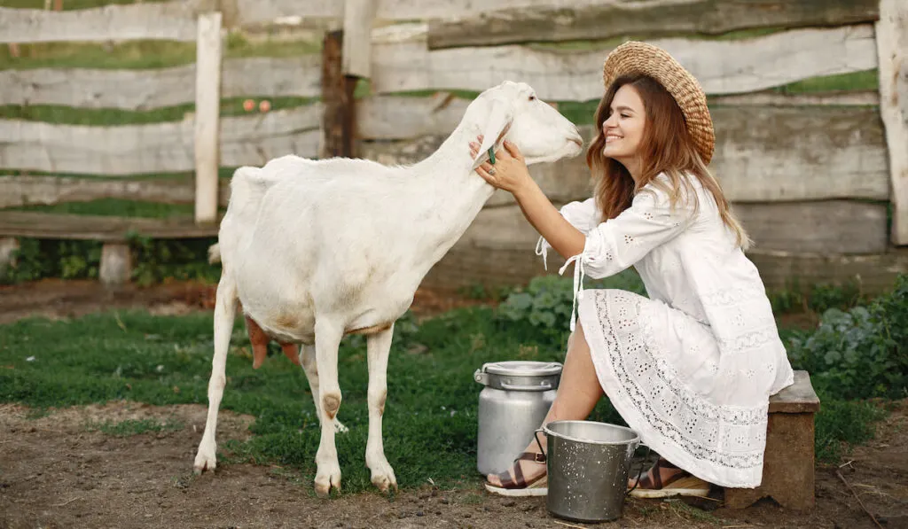 Young happy woman with her goat