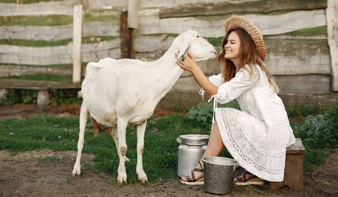 How to Pet a Goat - Farmhouse Guide