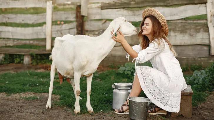happy woman with her goat