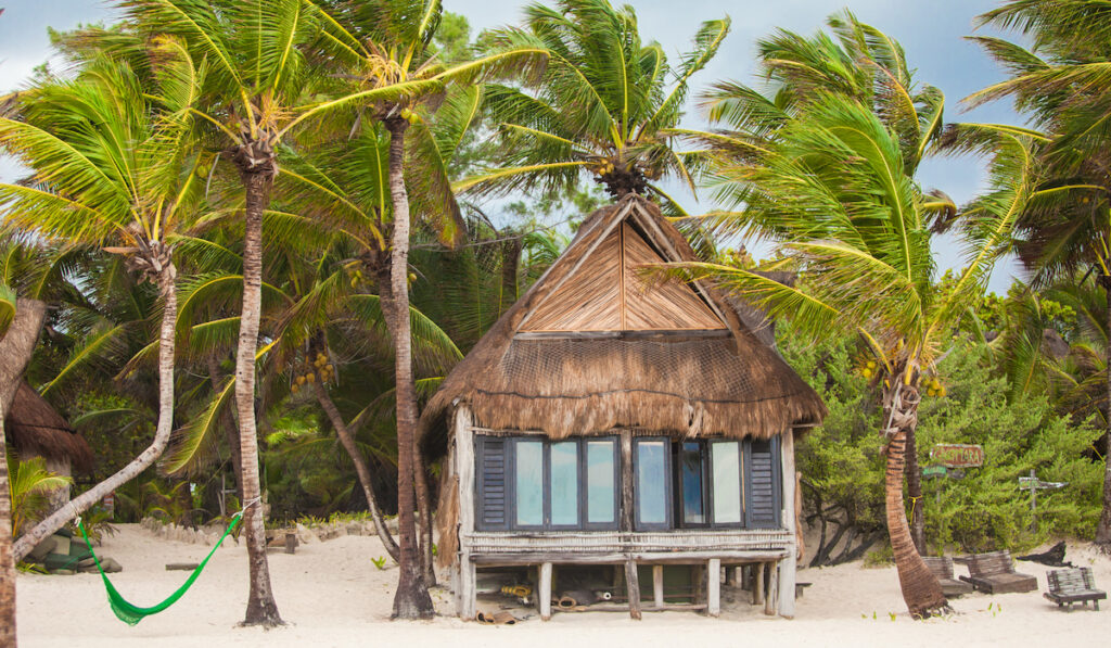 Tropical beach cottage on ocean shore among palm trees
