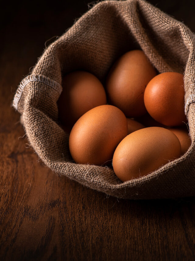 Can Pigs Eat Eggs and Eggshells? Farmhouse Guide
