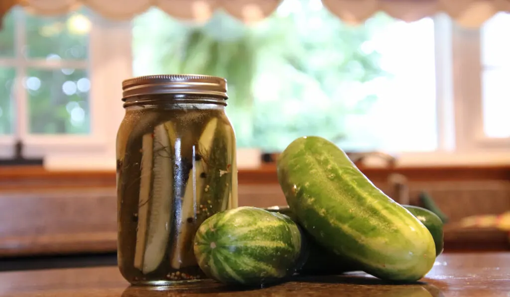 Canned pickles cucumbers and whole cucumbers on kitchen counter 