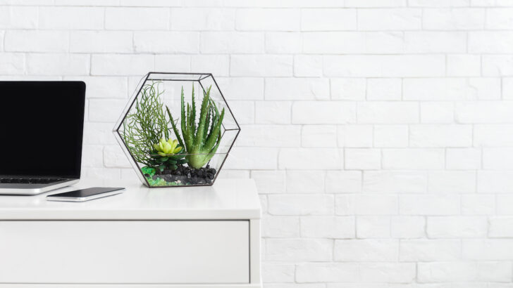 indoor plant decor in a glass container on a computer table