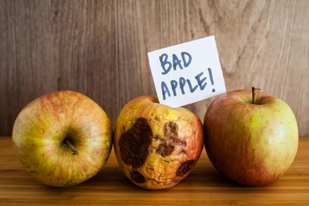 Discolored apples with brown patches at the middle of fresh apples