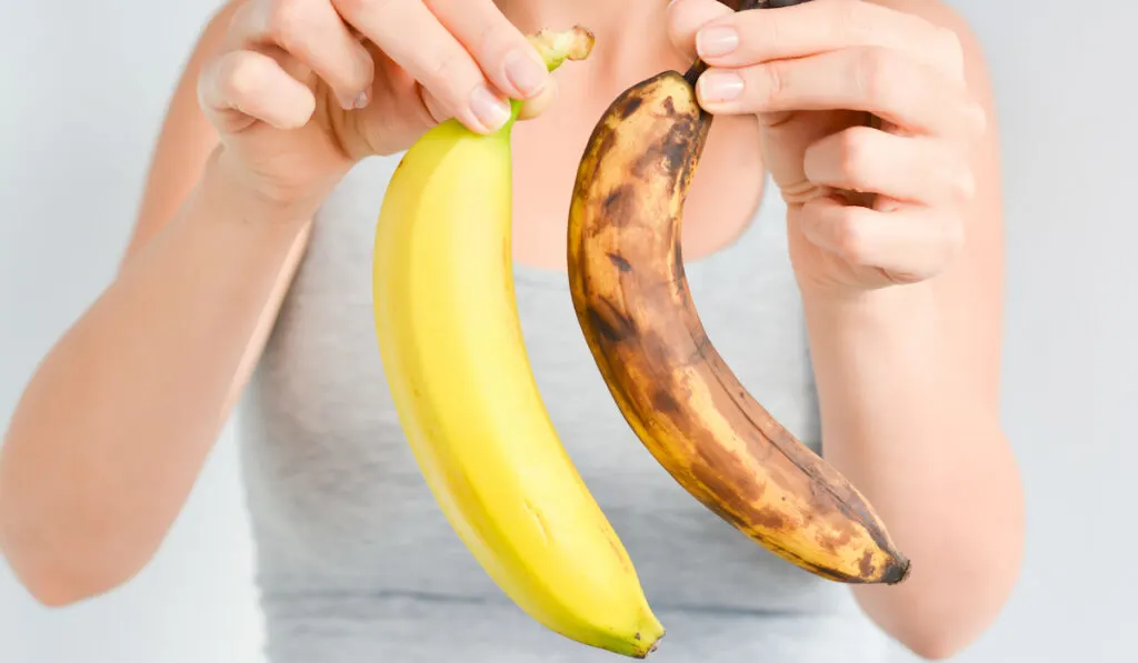 woman holding a fresh and an overripe banana
