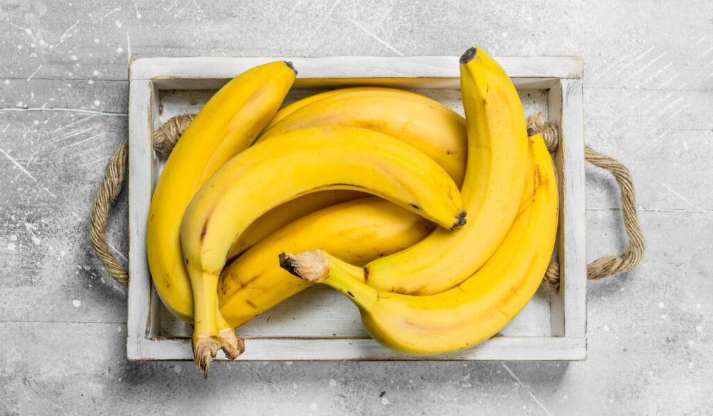 Fresh bananas in a wooden box. On white rustic background.

