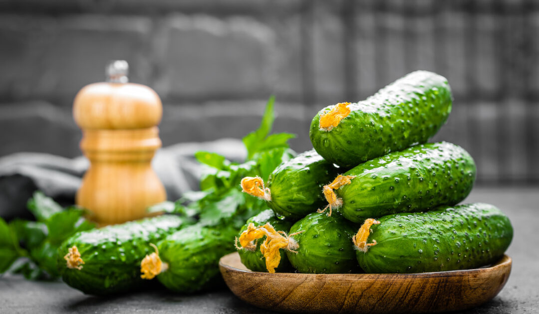 How Long Do Cucumbers Last? Farmhouse Guide