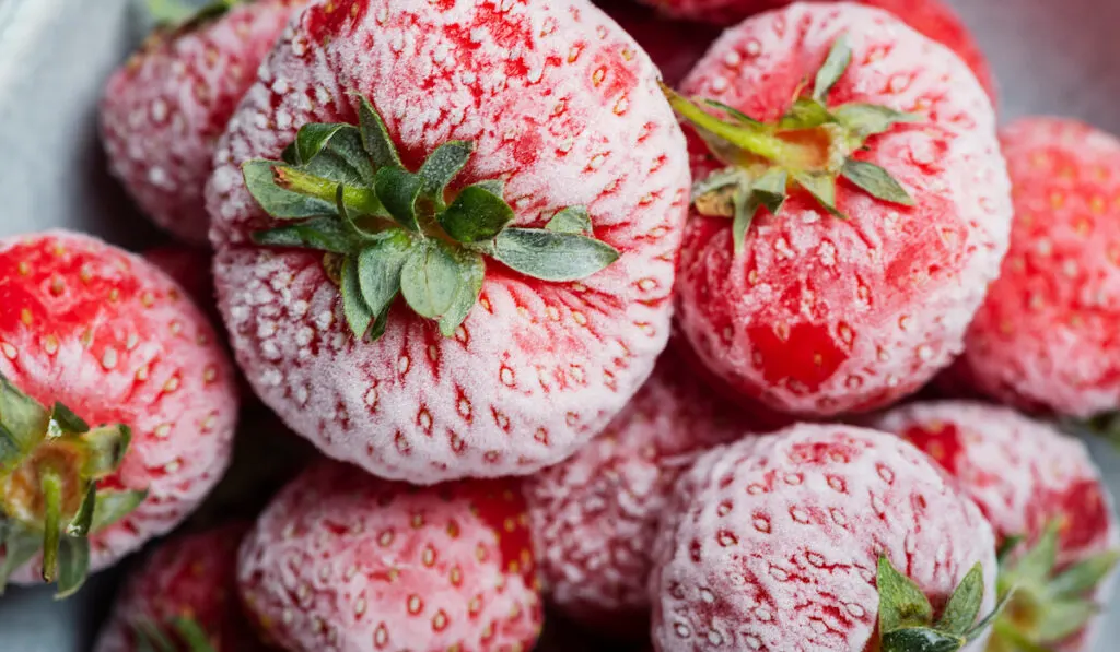 Frozen strawberry with crystals of ice in the freezer